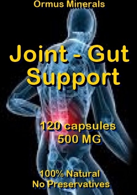 Ormus Minerals -Joint - Gut Support